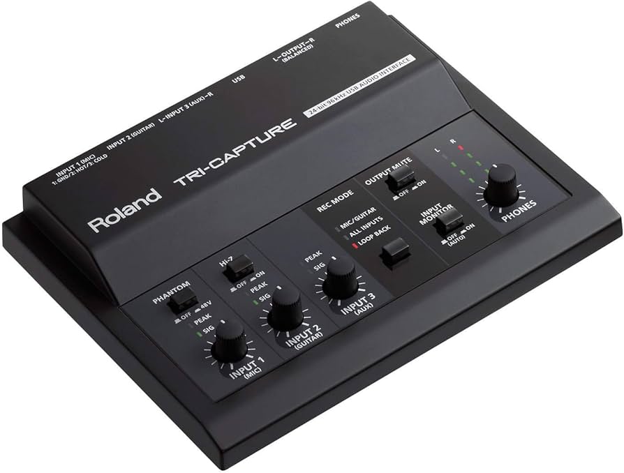 Amazon.co.jp: Roland ローランド オーディオインターフェイス TRI