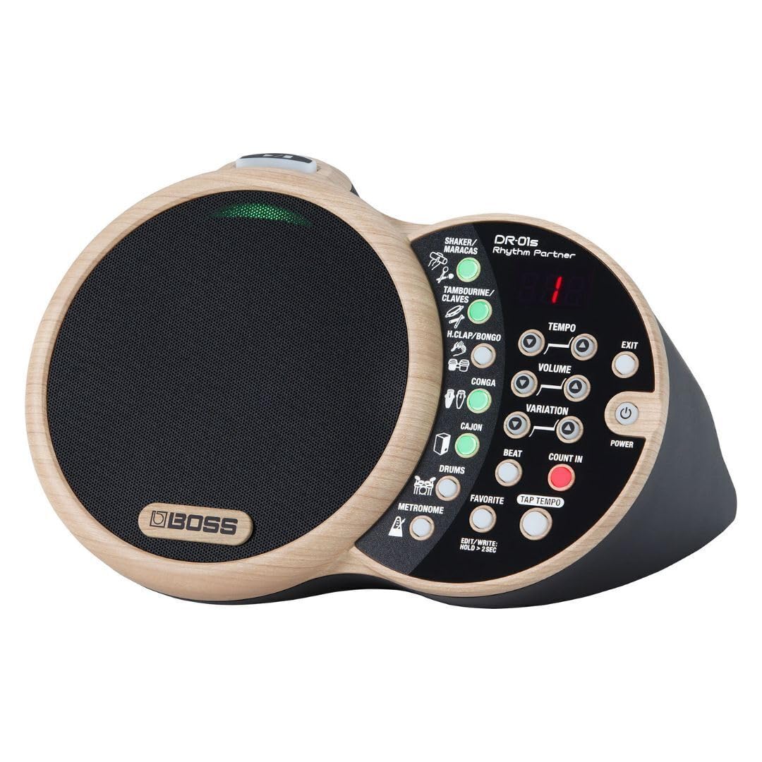 Amazon.com: BOSS DR-01S Rhythm Partner (DR-01S) : Musical Instruments