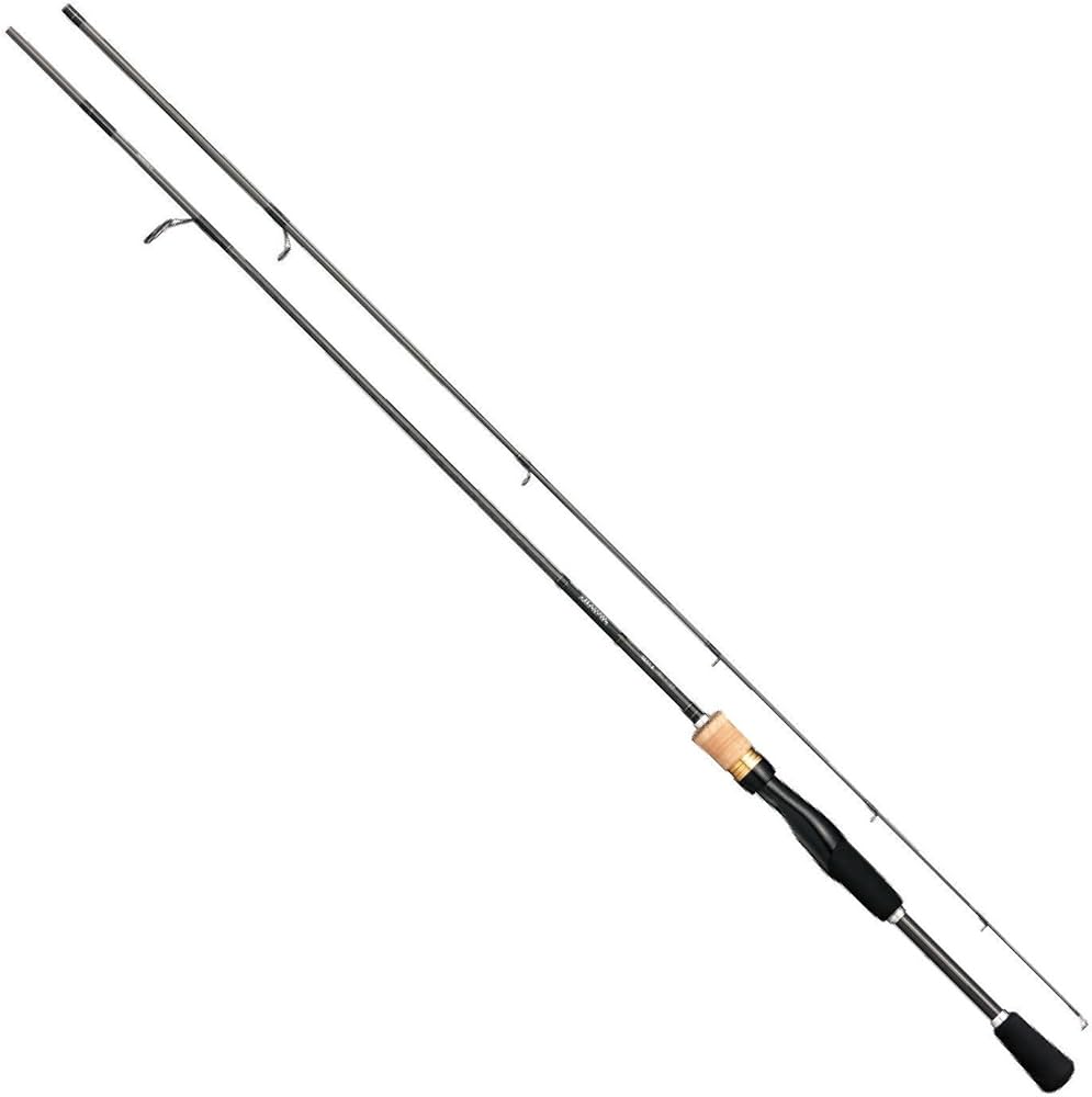 Amazon | ダイワ ロッド バスX 662LS | ダイワ(DAIWA) | バスロッド