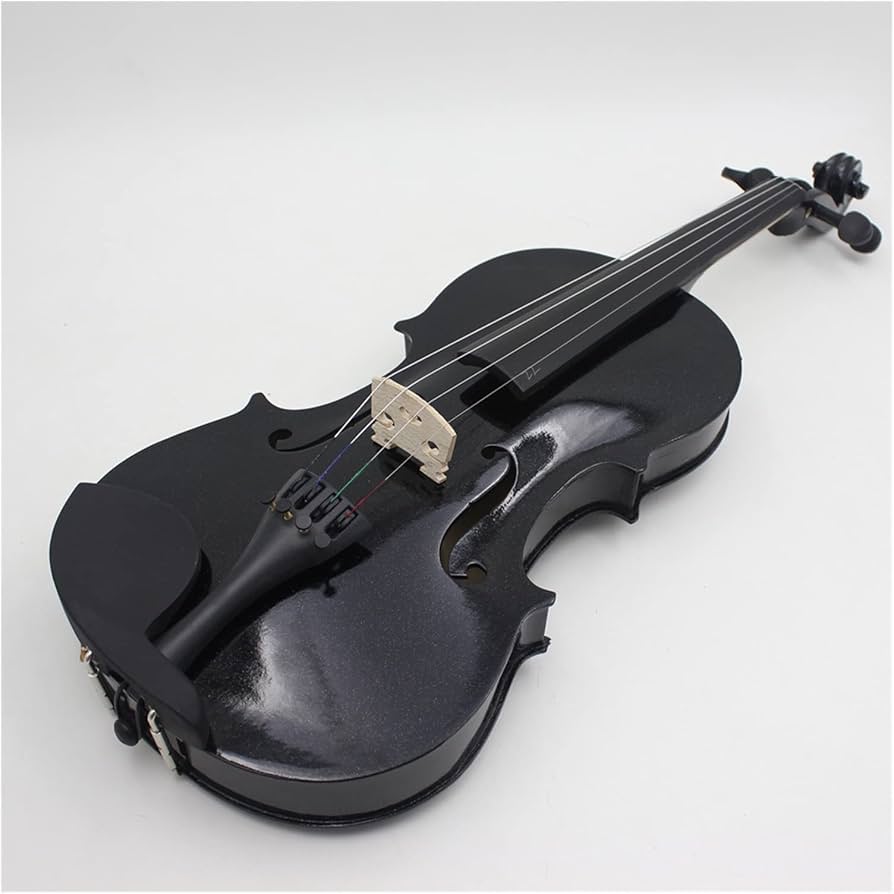 Amazon.co.jp: プロの音響黒バイオリン 4/4 演奏楽器木製バイオリン