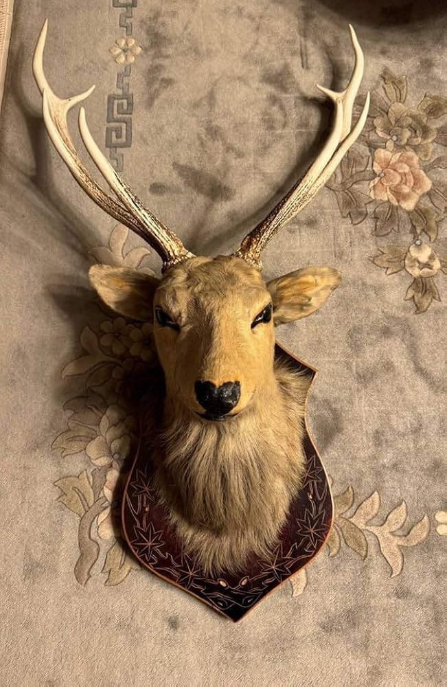 Amazon.co.jp: 豪華鹿シカはく製剥製角置物インテリア蝦夷シカ北海道