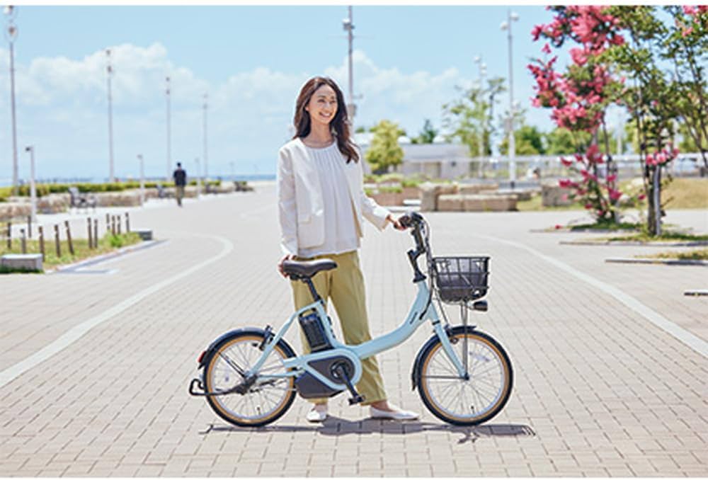 Amazon | パナソニック Panasonic 2024年モデル ビビS18 BE-FSS831