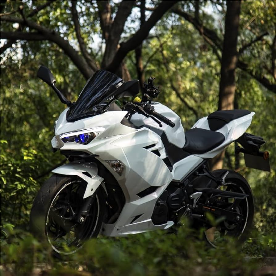 Amazon | ninja400 zx25r 2023 ヘッドライト カウル フル LED