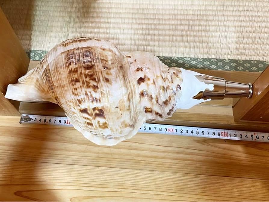 修験道法螺貝 密教 山伏 熊よけ 魔除け ほら貝 ホラガイ 修験道37