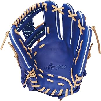 Rawlings Gold Glove 軟式グローブ 青/黒 Rawlings Gold Glove 軟式