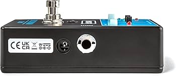 Amazon.com: MXR® Rockman® X100™ Analog Tone Processor : Musical