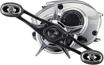 Amazon | ダイワ(DAIWA) スティーズリミテッド SV TW 1000HL 左