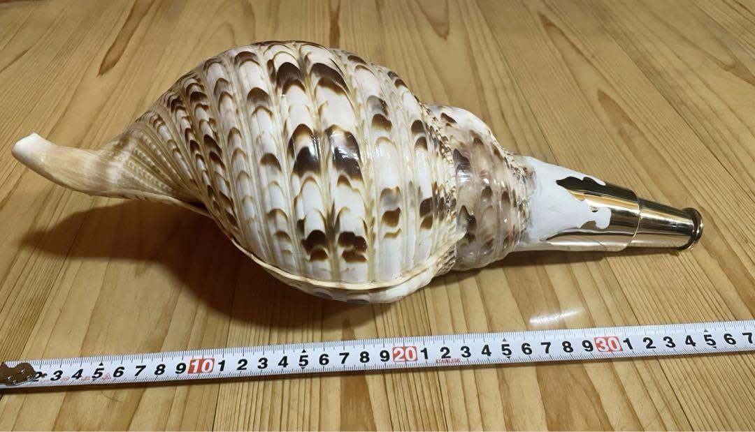 ☀︎Gracias☀︎です 大型修験道法螺貝39.5㎝ 山伏 密教 魔除け 大型