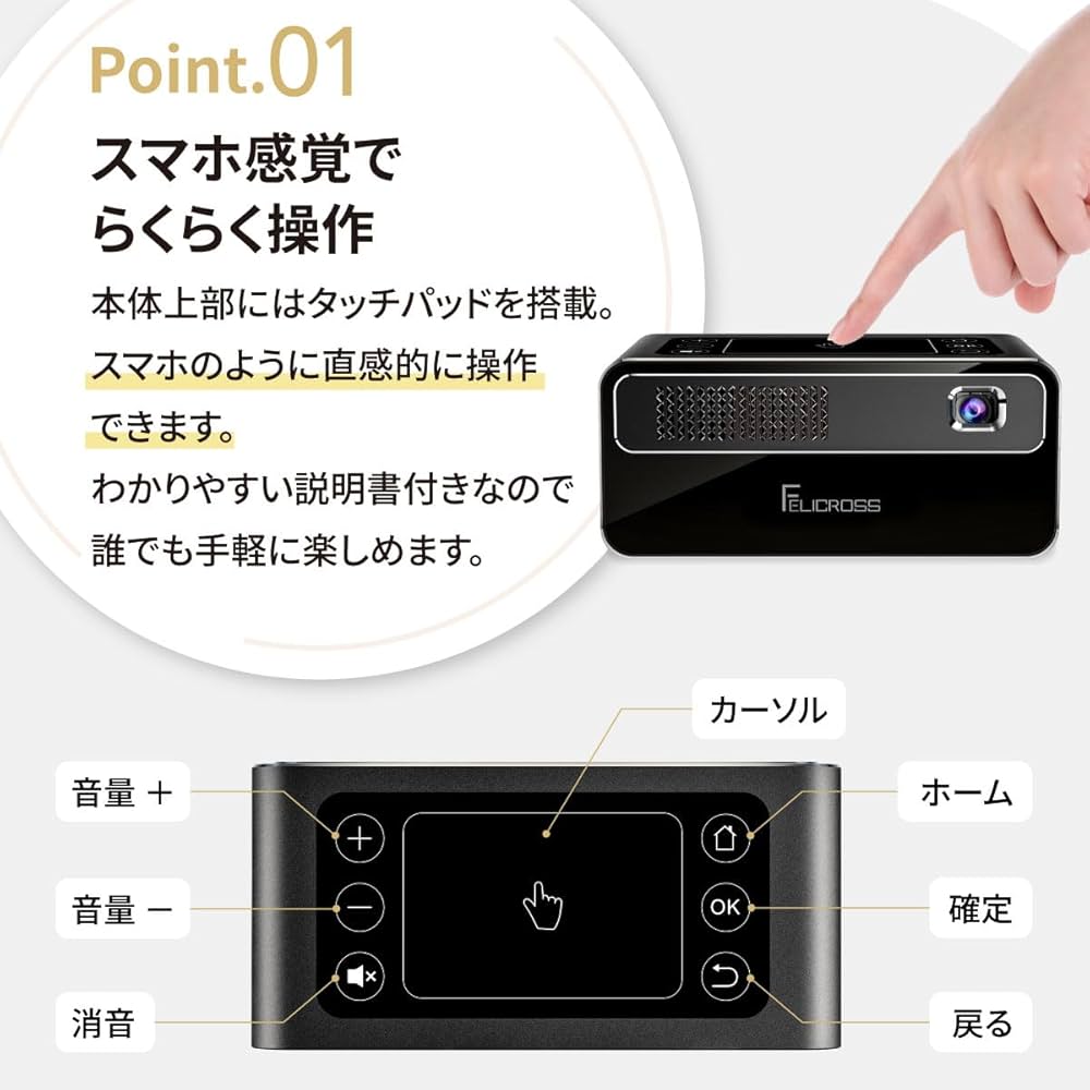 Amazon.co.jp: ［フェリクロス］PicoCube 300plus ピコキューブ 小型