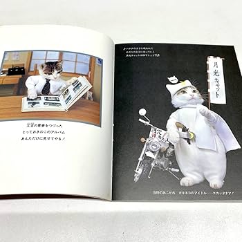 Amazon.co.jp: なめんなよ 又吉のかっとびアルバム 大写真館 2冊セット