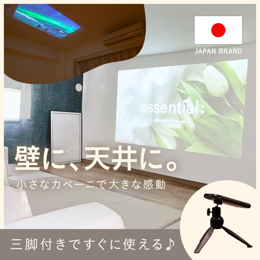 Amazon.co.jp: KABĒNI （カベーニ）[正規品] 2年保証 UENO-mono