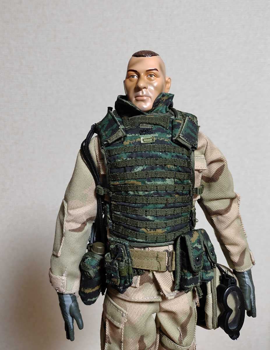 Amazon.co.jp: DAMTOYS DAM 1/6 1/6ドラゴン/DRAGON Chalk leader 75th
