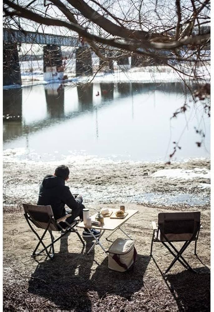 Amazon.co.jp: Snow Peak LV-093GY Low Chair Short, Sticker Included