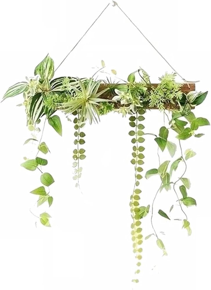 Amazon｜MedianField 【 観葉植物 光触媒 消臭 ＆ 抗菌 ウォール