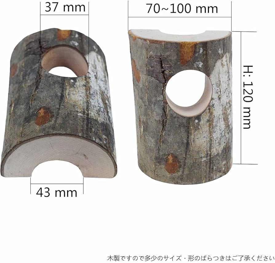 Amazon | えさ皿 昆虫のかくれ木 のぼり木 クワガタ 隠れ家 飼育木
