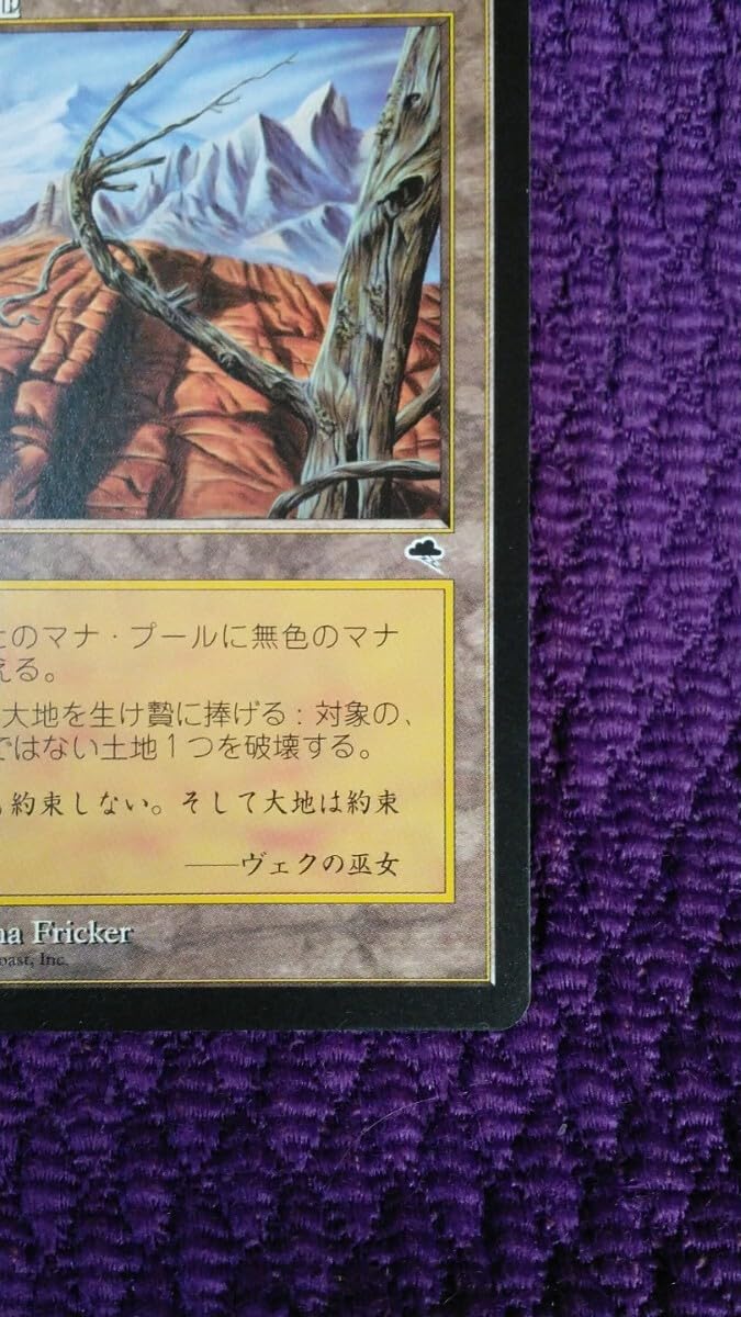 不毛の大地 英語 4枚 不毛の大地 Wasteland 英語 4枚セット MTG 不毛の