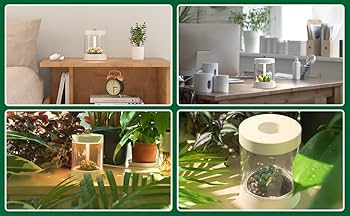 Amazon.co.jp: FTOYIN 多肉植物 ナイトライト 快適なナイトライト