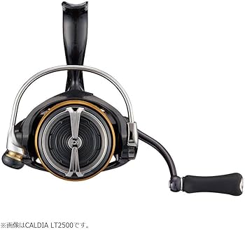 Daiwa Caldia LT3000-CXH Spinning 21 : Amazon.ca: Sports & Outdoors