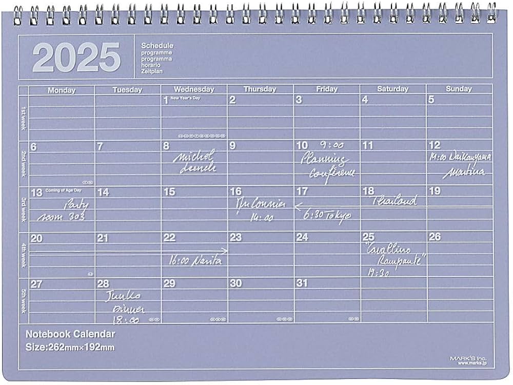 Amazon.co.jp: 手帳 2025 スケジュール帳 2025年1月始まりマンスリー