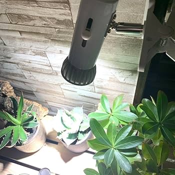 Amazon.co.jp: 15W植物育成ライトGrowLight PAR20 6000K 3個 : おもちゃ