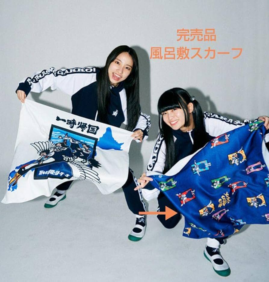 Amazon.co.jp: 新しい学校のリーダーズ グッズ : おもちゃ