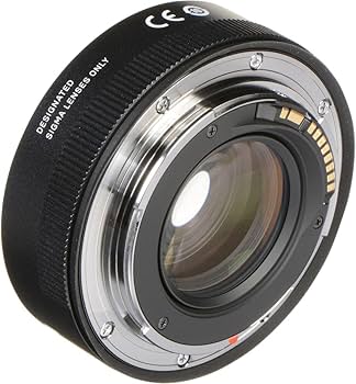 Amazon.com : Sigma 150-600mm F5-6.3 Contemporary DG OS HSM & TC
