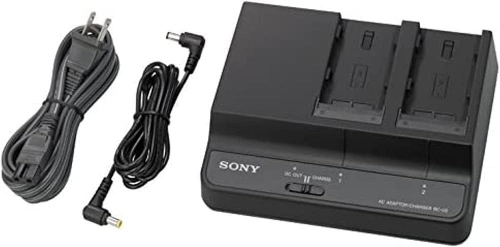 Amazon | BC-U2 バッテリーチャージャー BP-U30/BP-U60専用 | ビデオ