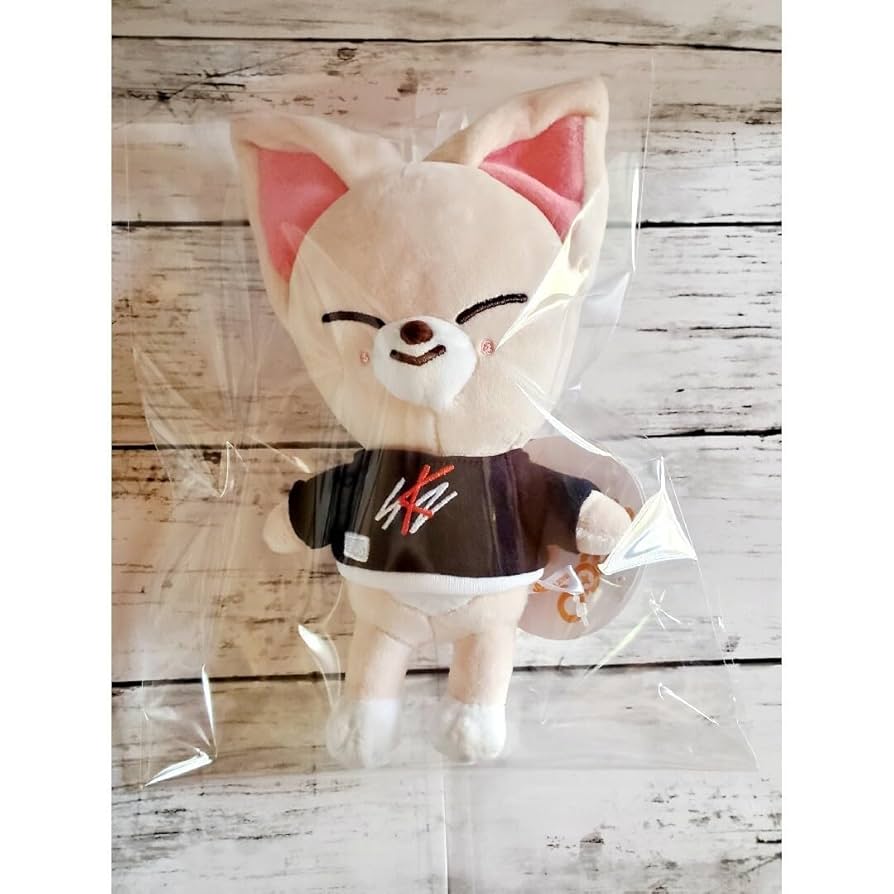 SKZOO ぬいぐるみ outfit フォクシニー アイエン StrayKids straykids