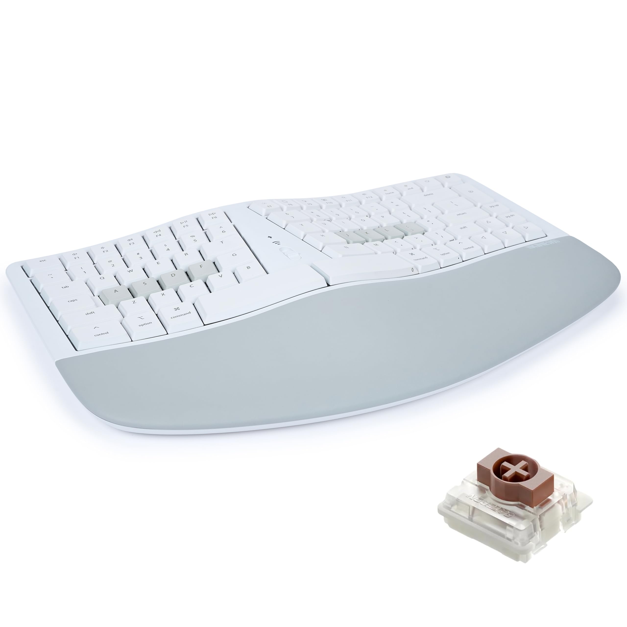 Amazon.com: KINESIS mWave Ergonomic Keyboard for Mac (White