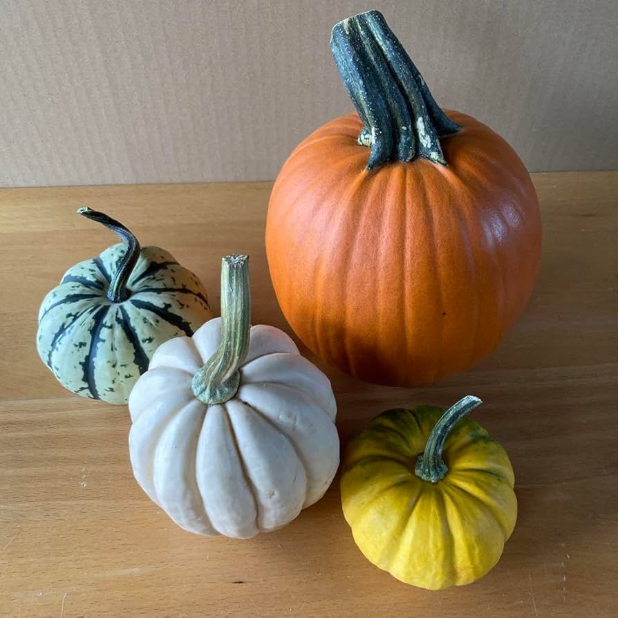 かぼちゃ様 リクエスト 2点 まとめ商品 【公式通販】