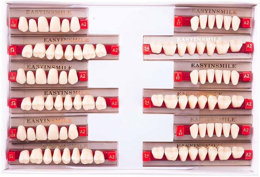 Amazon.com: Easyinsmile Dental Synthetic Resin Teeth A2 A3 False