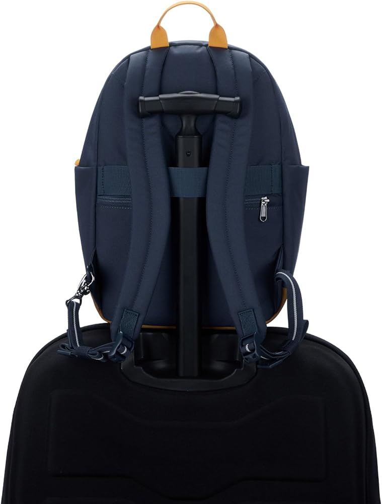 Amazon.co.jp: Pacsafe GO 15L 盗難防止バックパック, ブルー(Coastal