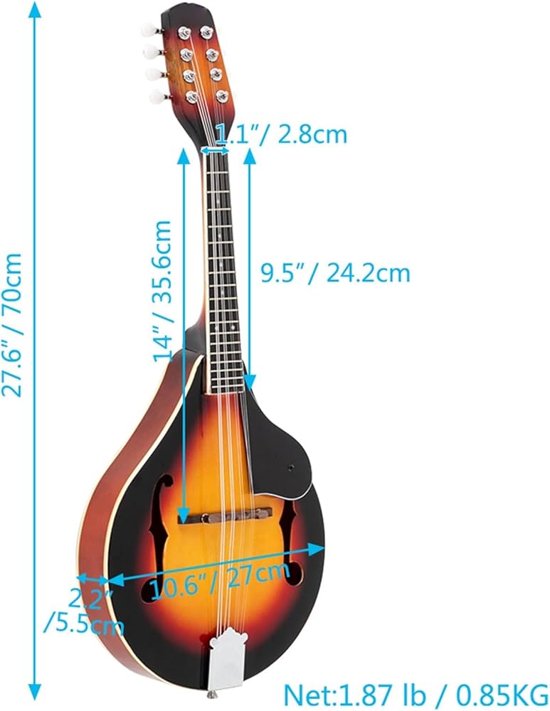 Amazon | マンドリン楽器 スタイル 8 弦マンドリン フラットバック