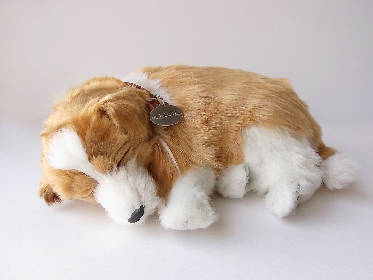 Amazon.co.jp: ニニアンドキノ パーフェクトペット (小サイズ