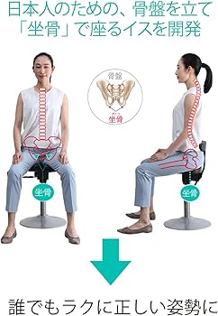 Amazon.co.jp: アーユルチェアー 丸ベースタイプ ルナ 腰痛対策 姿勢