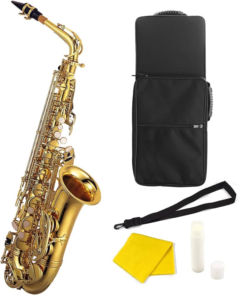 Amazon | Soleil ソレイユ アルトサックス[Eフラット] SAL-1/GD