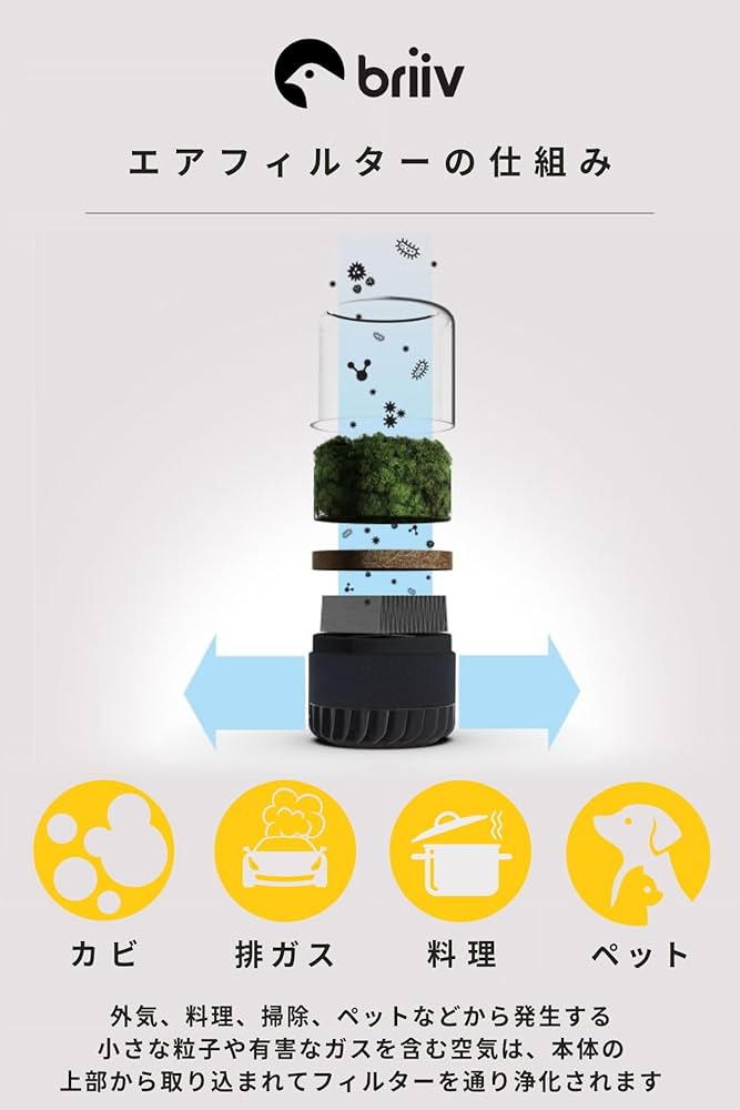 Amazon.co.jp: BRIIV 2 Pro (ブリーヴ) 英国発の自然派エコ空気清浄機