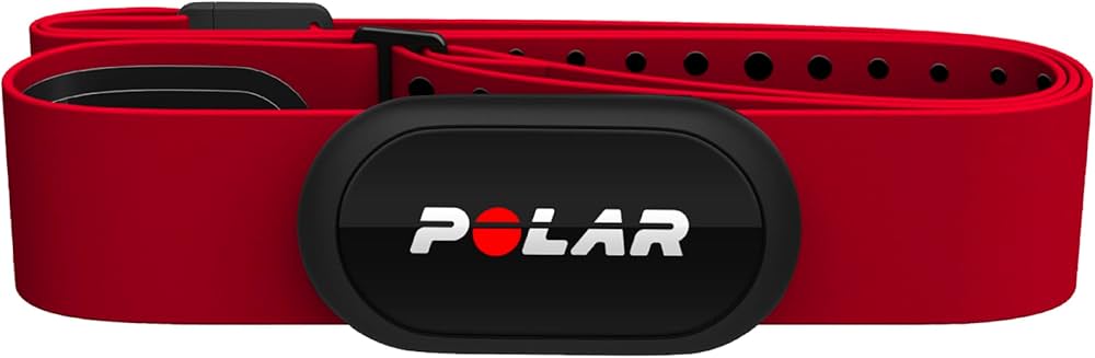 Amazon | 【Amazon.co.jp 限定】 POLAR (ポラール) ポラール H10 N