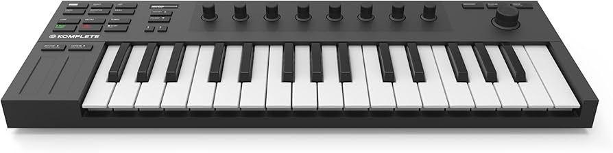 Amazon.co.jp: NATIVE INSTRUMENTS ネイティブインストゥルメンツ/M