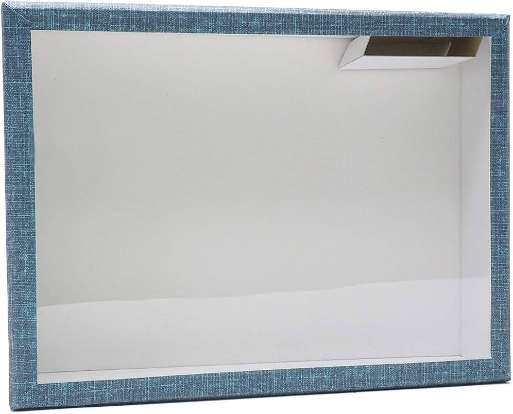 Amazon.co.jp: インセクテック 志賀ボール紙製硝子蓋標本箱【大型