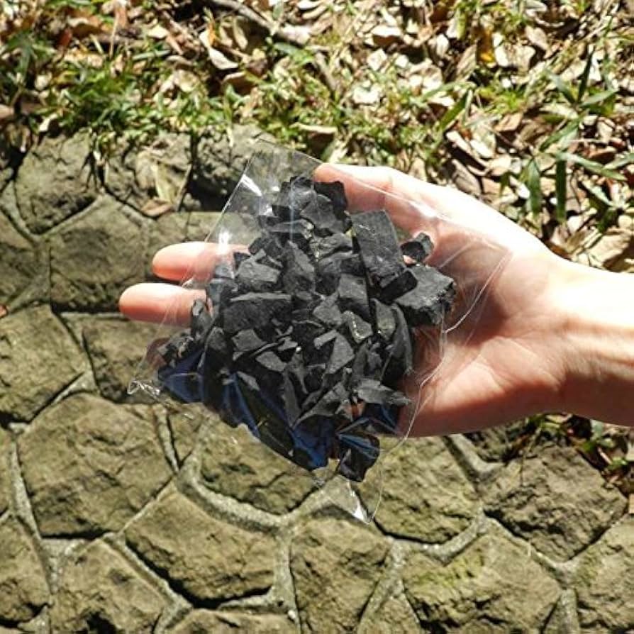 Amazon.co.jp: 浄水用シュンガイト原石 300g : ファッション