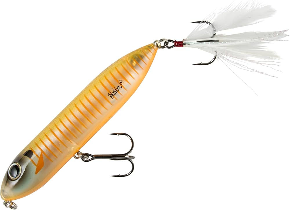 Amazon.com : Heddon Super Zara Spook - Bluegill Fry - 4.5