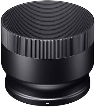 Amazon.com : Sigma 100-400mm f/5-6.3 DG OS HSM Contemporary Lens