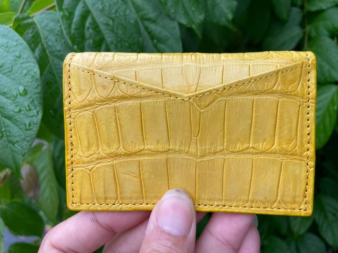 Amazon.com: Yellow Real Alligator Crocodile Handmade Card Holders