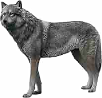 a*3様 ジョウナイトウ オオカミ ウルフ 直筆サイン入り 狼 限定 95％オ