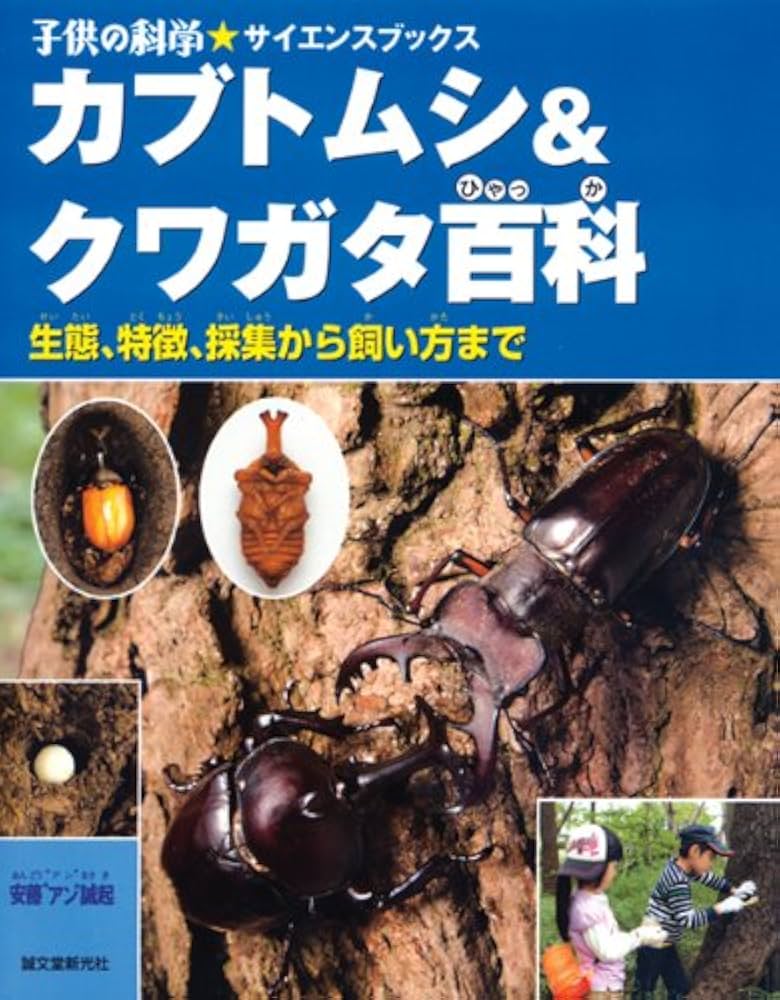 Amazon.co.jp: カブトムシ&クワガタ百科: 生態、特徴、採集から飼い方
