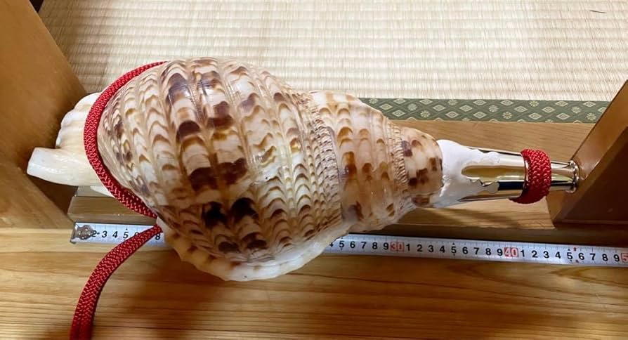 法螺貝 ほら貝 ホラ貝 神仏 山伏 修験道 和太鼓 お祭り 魔除け 法螺貝