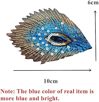 Amazon.co.jp: 10ピース孔雀の羽は刺繍された鉄の刺繍入り鉄のドレスの