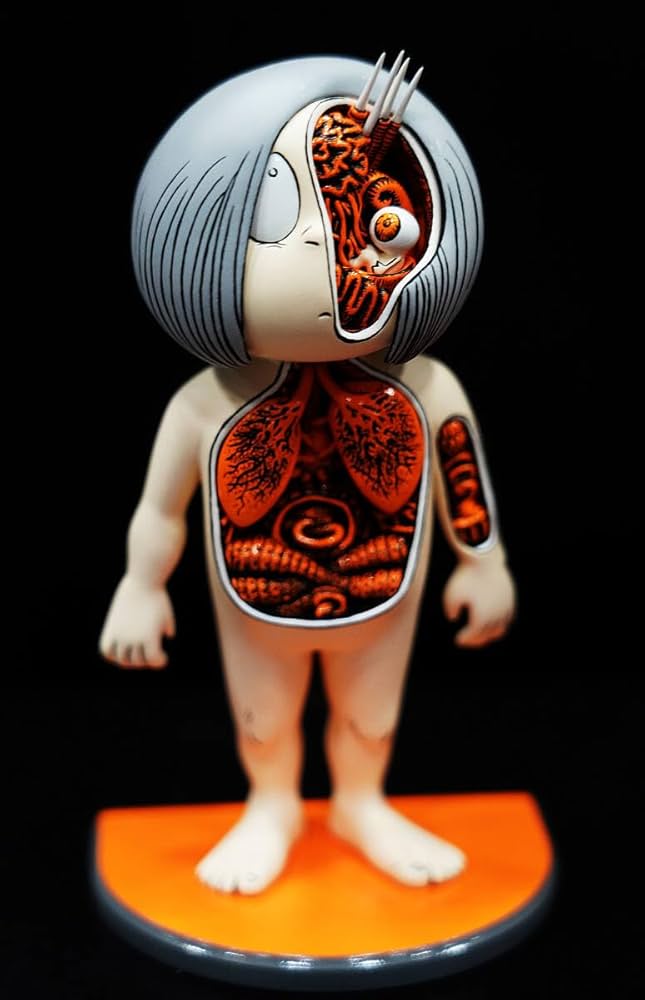 鬼太郎大百科 解剖図スケルトンバージョン クリア成形 ゲゲゲの鬼太郎