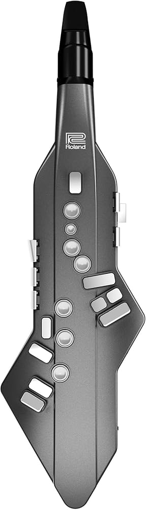 Amazon.com: Roland AE-05 Aerophone GO | Compact Digital Wind